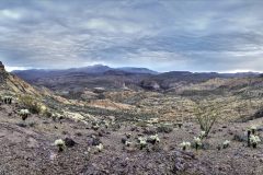 Scenic_AZ_2881ConsensusLoop_20210216_7239-7289-1