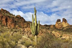 Scenic_AZ_2881ConsensusLoop_20210216_7527-7529-1