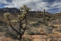 Scenic_AZ_BlackMesaLoop_20221107_0166-0168-1