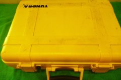 Milenovich_Case-Yellow_P1040498