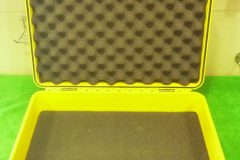 Milenovich_Case-Yellow_P1040499