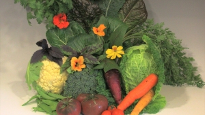Garden Harvest
